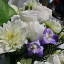 제이앤제이(J&J) 이미지