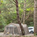 뽑기명당 | 가을 캠핑_ 명돈골캠핑장 추석캠 S5후기 (부대시설, 명당추천 등)