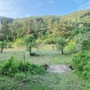 부계면사무소 이미지