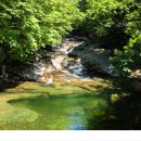 제 199회(8월) 정기산행: 무주구천동 어사길 계곡. 숲 트레킹 이미지