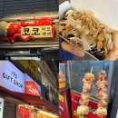 꼬지짱 이미지