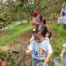 (노랑2반)🍎사과깡패🍎견학다녀왔어요~~ 이미지