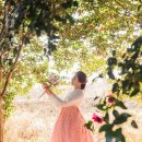 두시한복 이미지