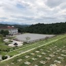 강릉청솔공원 이미지