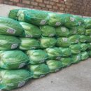 산성가마솥 이미지