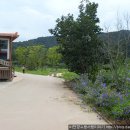 회룡포민박 이미지