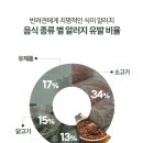 미르 동물병원 이미지
