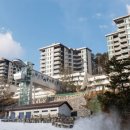 용평리조트 대중골프장 이미지