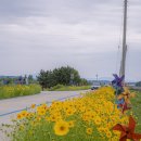 익산 바람개비 마을 | 금강 바람 따라, 알록달록 꿈꾸는 풍경