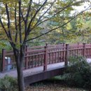 국토정중앙천문대야영장 이미지