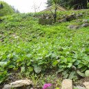 우정민박 이미지