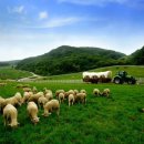 하늘소리목장 이미지