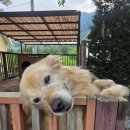 두루와펜션 이미지