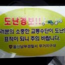 달마상사 이미지