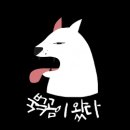 백구동네[서] 티스토리