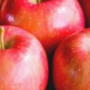 다이어트 건강요가 이미지