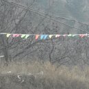 삼삼한갈비 이미지