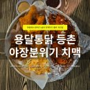 GS25 강서등촌점 | 가양역술집추천 용달통닭 등촌직영점 야장 치맥 맛집 후기 | 주차·분위기·메뉴 정보