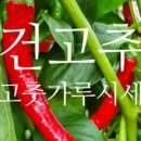 영양농업협동조합하나로마트 이미지