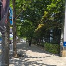 대구우편집중국 | [대구꽃박람회] 현장 방문 후기🐾