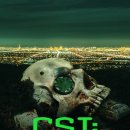 CSI Global 이미지