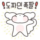 버니키스