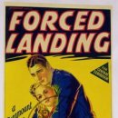 1941 강제 착륙Forced Landing 이미지