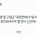 고령목장 이미지