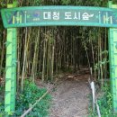 대청산림개발
