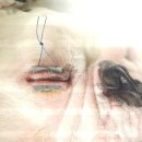 마루종합동물병원 이미지