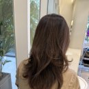 정 헤어샾(정 HAIR #) | [Hair] 내돈내산 카이정헤어,과천점 c컬펌 후기