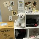 글라스밤안경 옥련점 이미지