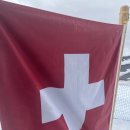 테이스트캠프 | 인생 첫 유럽 여행: 인터라켄(Interlaken, Switzerland)