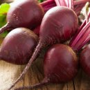 비트메디칼 이미지