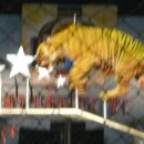 호랑이농장 이미지