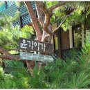 윤가이가 이미지