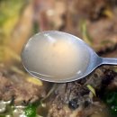 금남시장 | 금호역 갈비탕 맛집 추천ㅣ금남시장 가성비 밥집 갈비탕단하나 방문후기