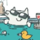 허니비모바일 이미지