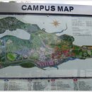 서울대학교(관악캠퍼스) 티스토리
