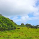 광덕3로7 이미지