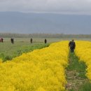김종현 농장 이미지