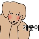 멍구르르 이미지