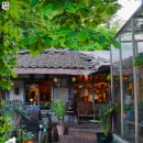 충주시 동수2길 11-6 이미지