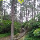 제주 올라 이미지