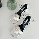 885 이미지