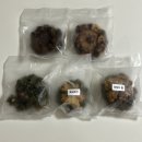 병아리 상점 | [디저트] 광명 스콘 일티어 맛집 위로상점 내돈내산 정말 솔직한 후기!!🌸 호지가나슈|쑥맘모스|쑥오메기...