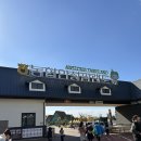 꼬꼬체험장 | 아이랑 겨울에 가볼만한 곳! 안성팜랜드 동물체험 리얼 후기(주차, 입장료, 동물체험)