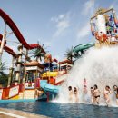 연세월드태권도 이미지