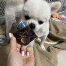 덕비네수제간식 이미지