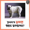 덕소로71번길 20-7 네이버블로그